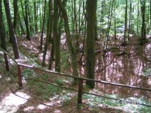 Bursztynowa Góra