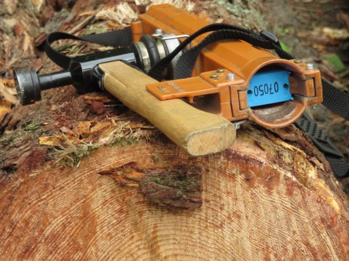 fot. Monika Sabalińska